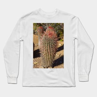 Desert Study 27 Long Sleeve T-Shirt